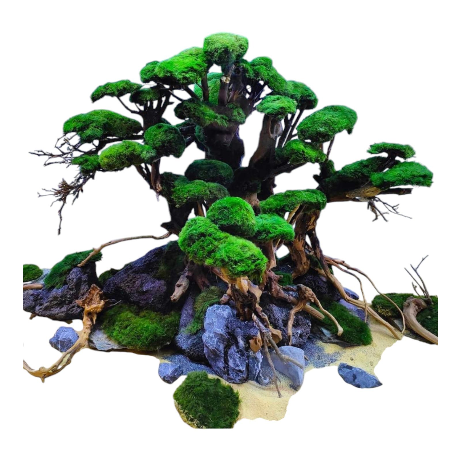 Drzewko bonsai do akwarium