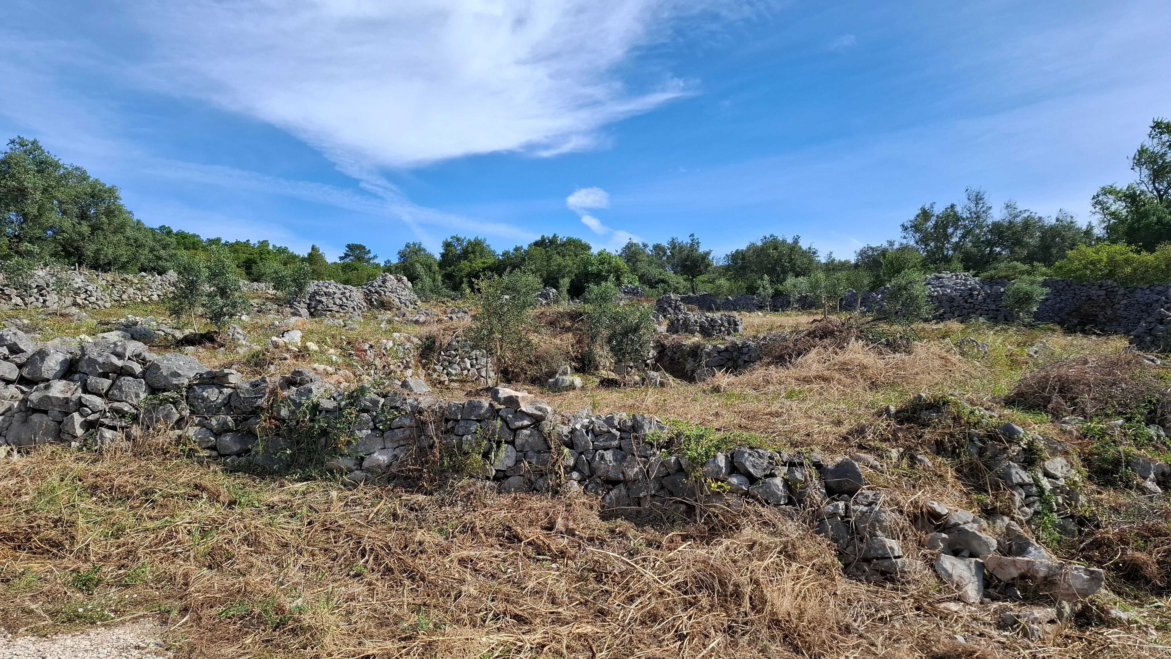 Terreno para venda nos Casais da Moreta