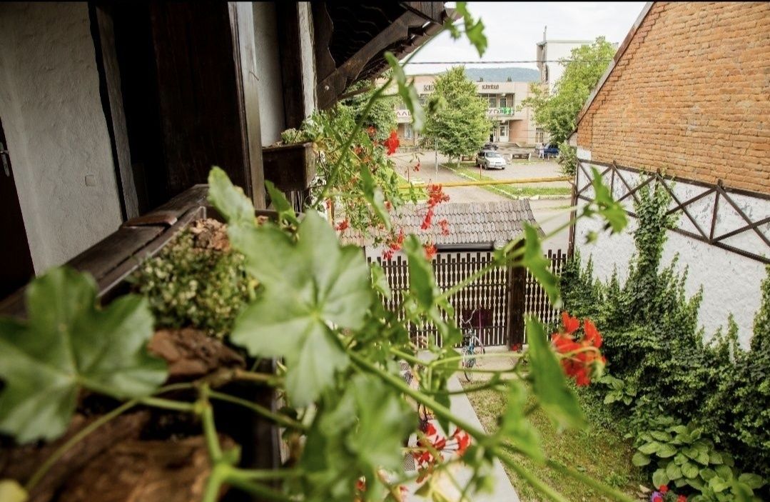 Кімнати в Берегово, житло,квартира, жилье Закарпатье