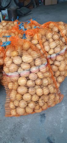 Ziemniaki jadalne Madeira worki 5/15kg