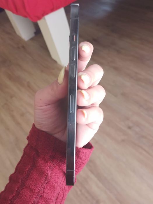 iPhone 12 Pro Max