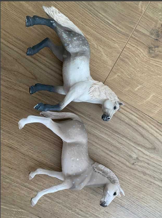2 konie schliech