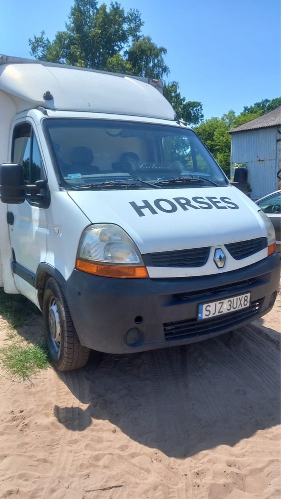 Koniowóz Renault Master