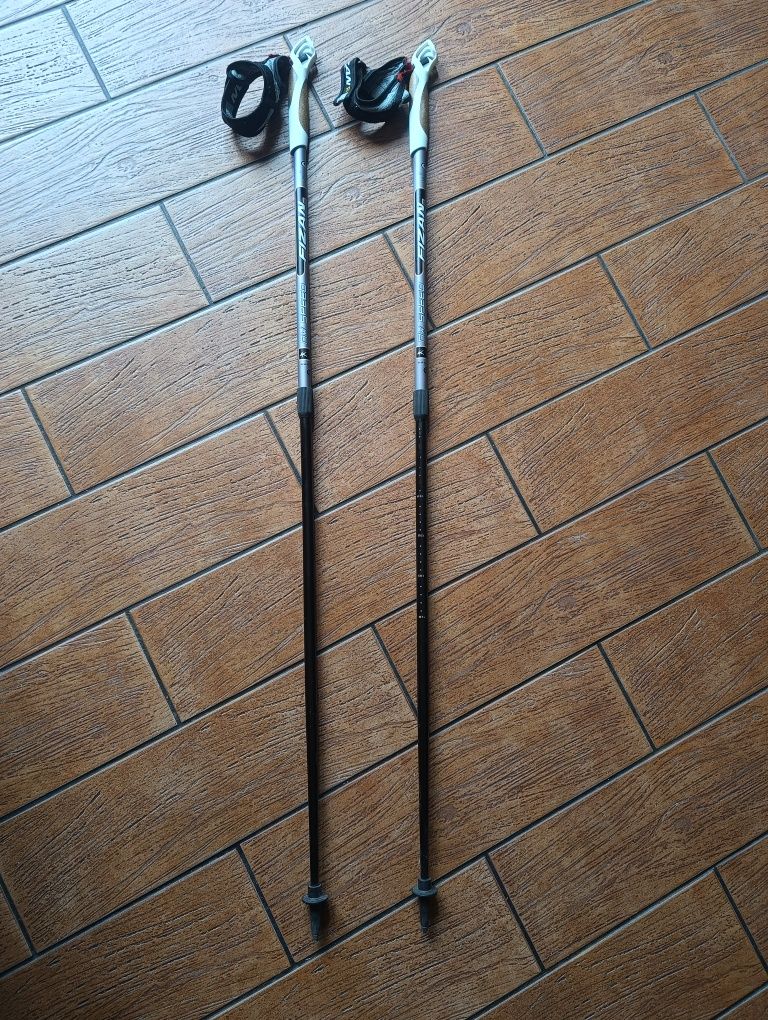 Kije do Nordic Walking Fizan