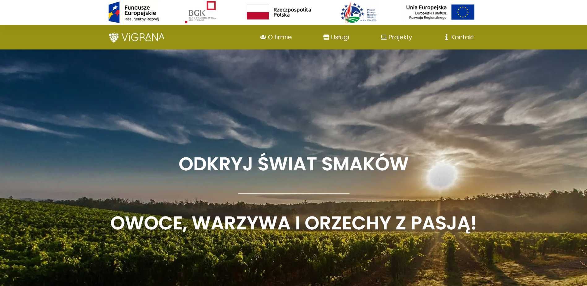 Strony internetowe, sklepy, blogi, grafiki