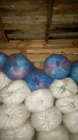 Trociny w workach sosnowe.