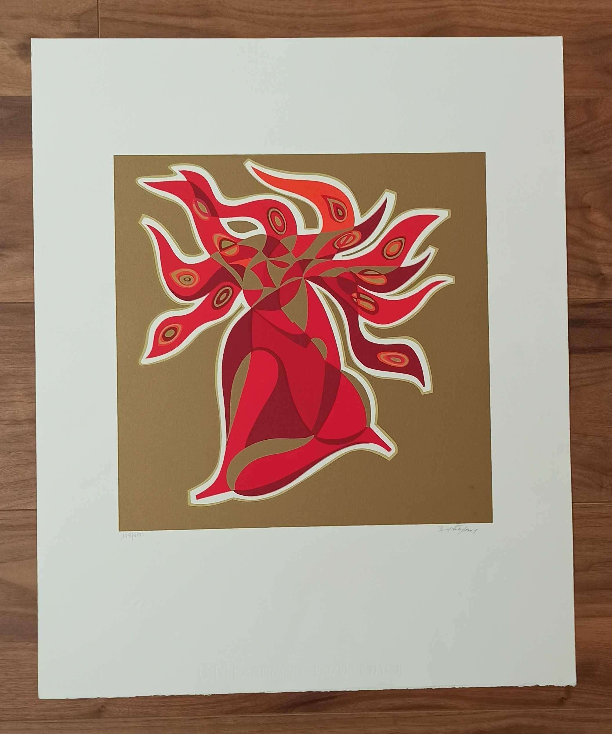 Serigrafia Bravo da Mata