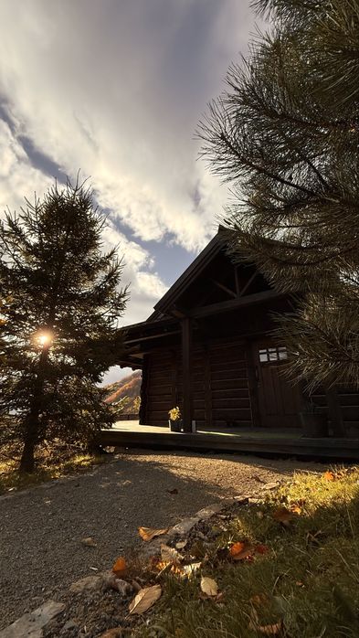 Оренда будинку Карпати  до 10 осіб село Великий Рожін Косівський район