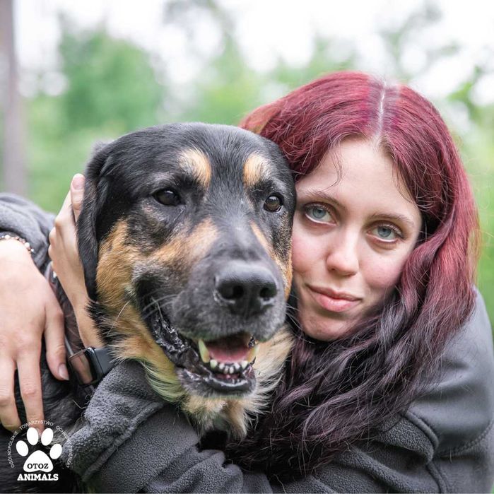 Piękny, miły Aslan poleca się do adopcji!