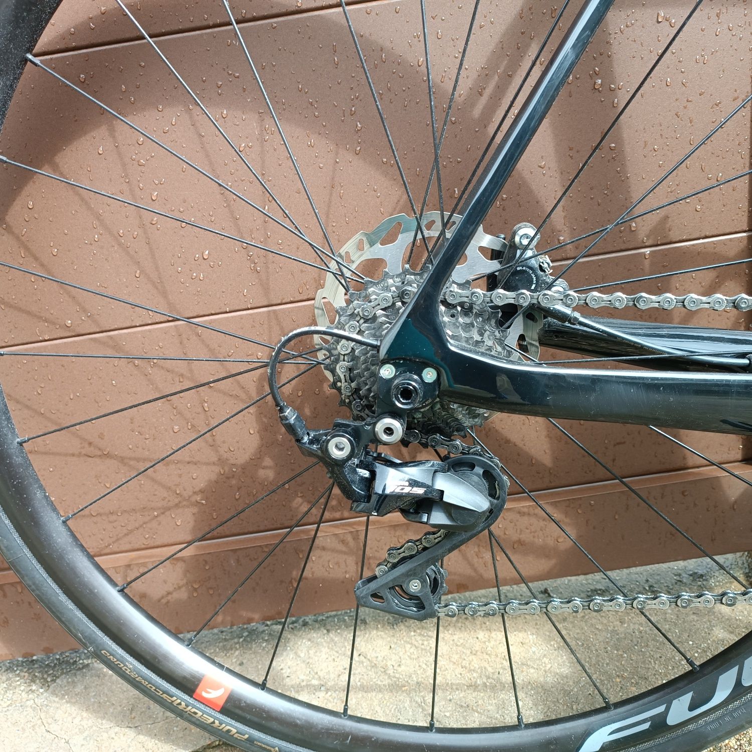 Coluer invicta disc