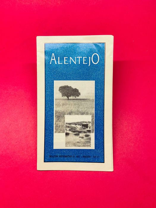 Alentejo, Boletim Informativo D. Sul - Agosto Nº2