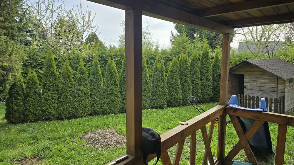 Piękna działka ROD 580m idealna dla rodzin z dziećmi