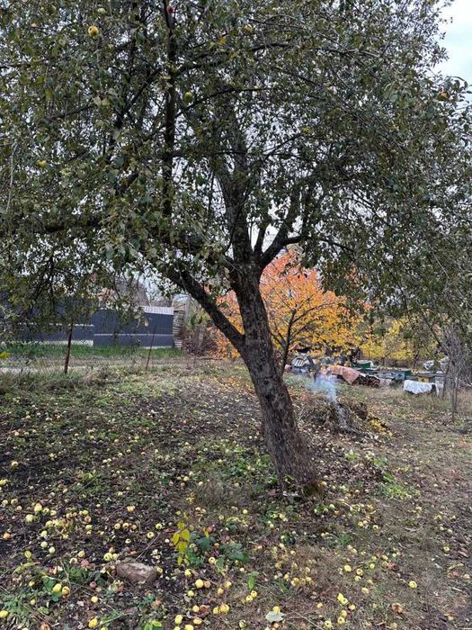 Дача 5 хв до річки