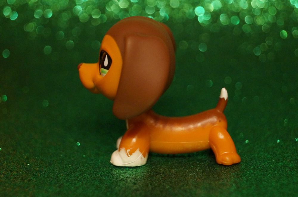 Littlest Pet Shop LPS jamnik #675 oryginalny pop Savannah