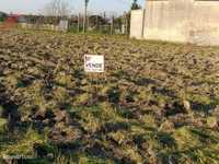 Terreno à venda em Quintas em Ílhavo
