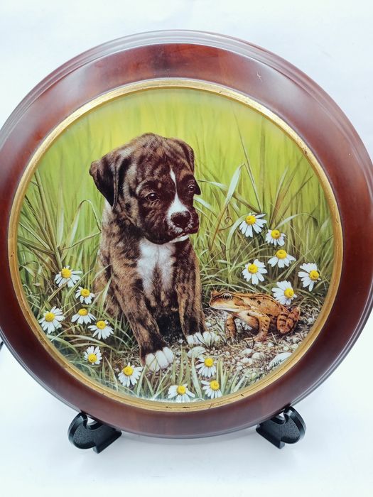 Talerz kolekcjonerski Frog Prince Boxer Anglia