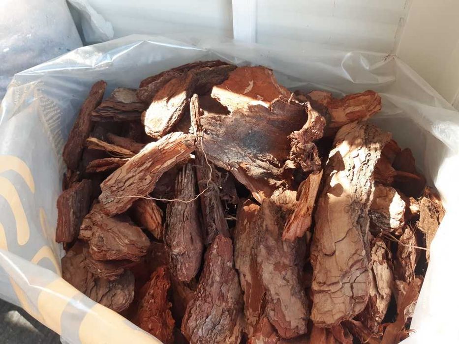 kora sosnowa gruba sortowana Mosina wyprzedaż