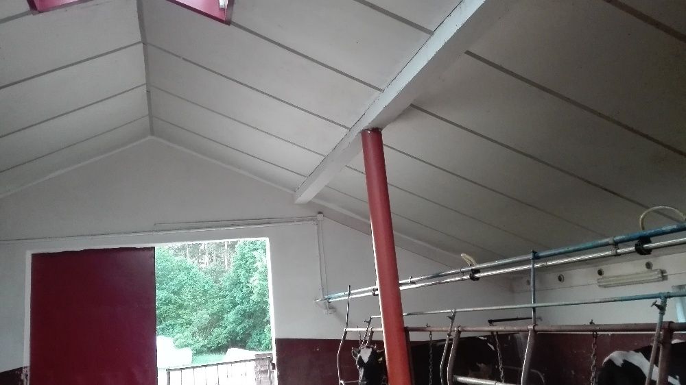 MYCIE BIELENIE Białkowanie OBÓR, kurnikow oraz inwentarskich TANIO!