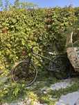 Ns bike metropolis 1