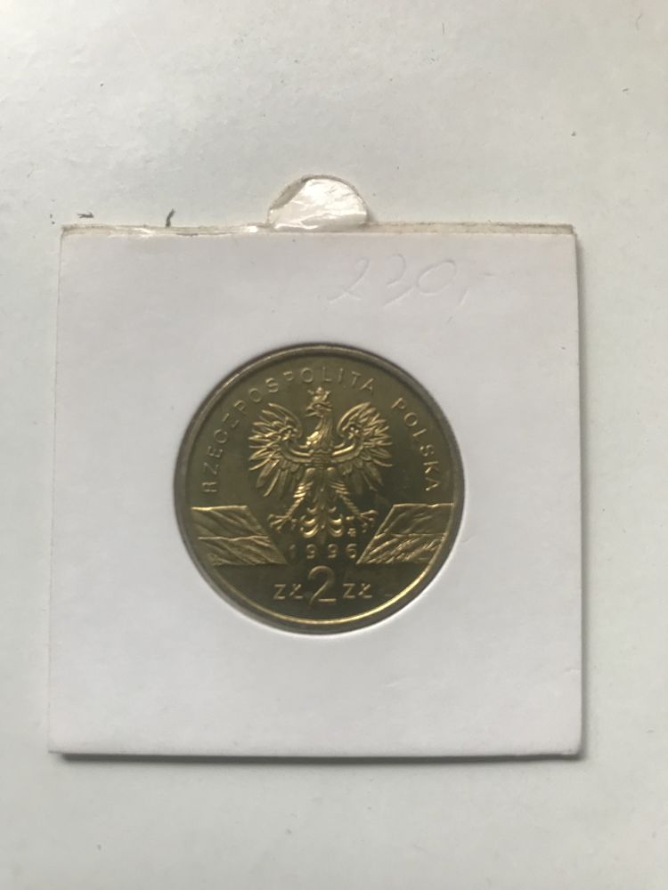 Jeż 2 zł 1996 r