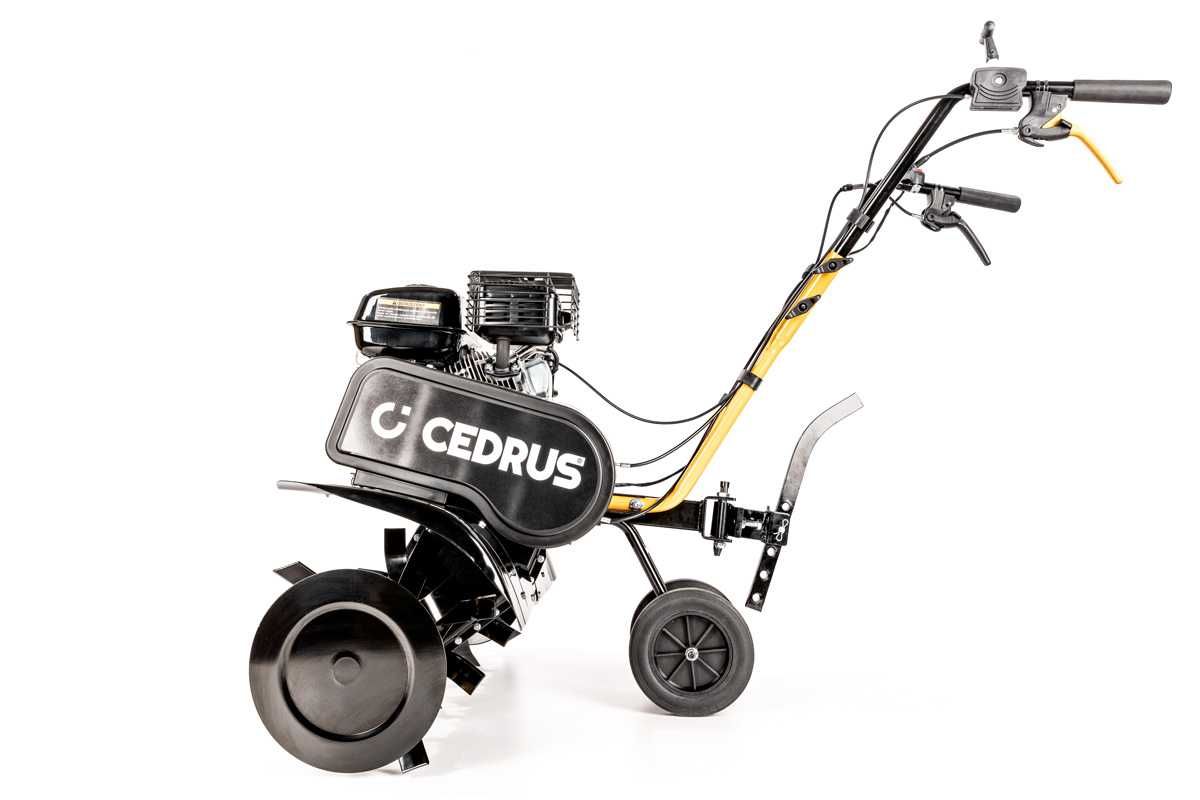 Glebogryzarka Cedrus 80cm Loncin G200F biegi: 1 do przodu / 1 do tyłu