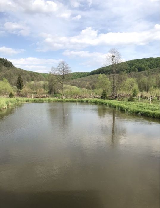 Продам будинок та земельну ділянку (разом з альтанкою та ставом)