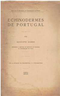 14456
	
Echinodermes du Portugal 
de Augusto Nobre.