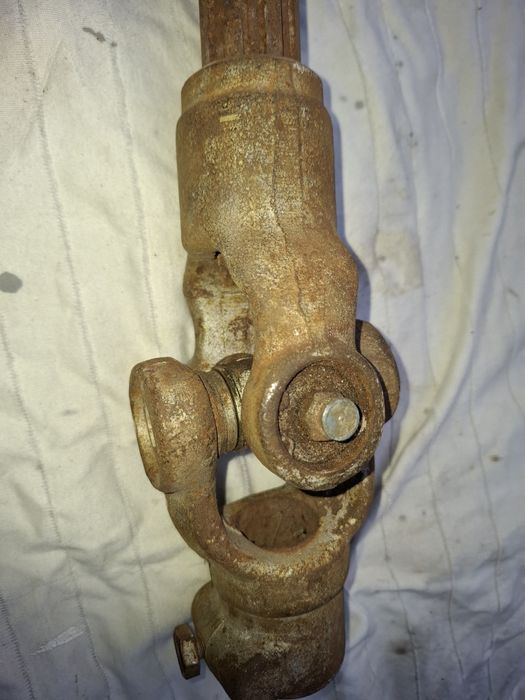 Przegup krzyżakowy.