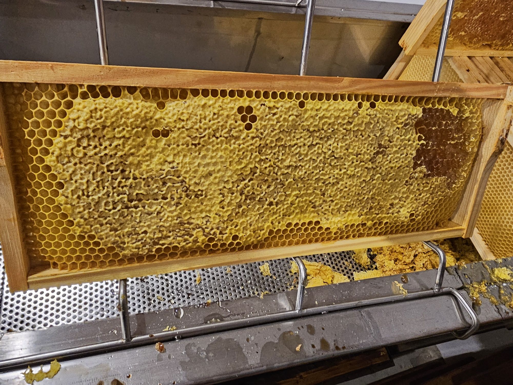 Miód pszczel duże sloik 0.9l  wielokwiatowy Akacja Lipa