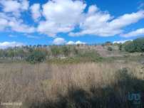 Terreno Agrícola em Azinhoso de 2874,00 m2