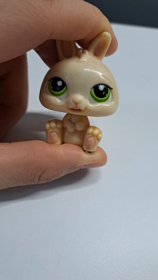 Littlest Pet Shop królik limitowany magnetyczny