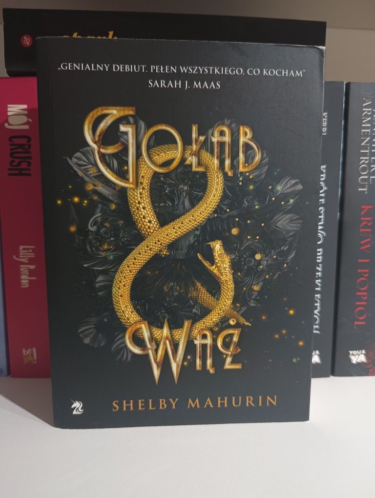 Gołąb i wąż - Shelby Mahurin