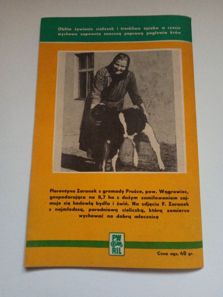 Mały poradnik rolnika Nr.6 1954r Siewy wiosenne 1954