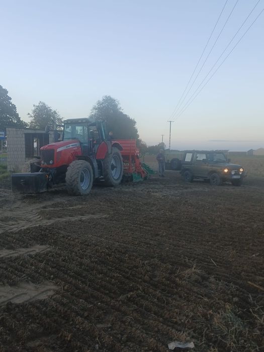 Usługa mulczowania(po kukurydzy poplonów i nie użytkownik)