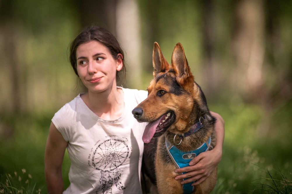 Uszy-radary i wielkie serce – oto Jukon, Twój przyjaciel!