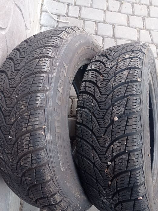 Шини зимові Premiorri 195/65 R15 91T