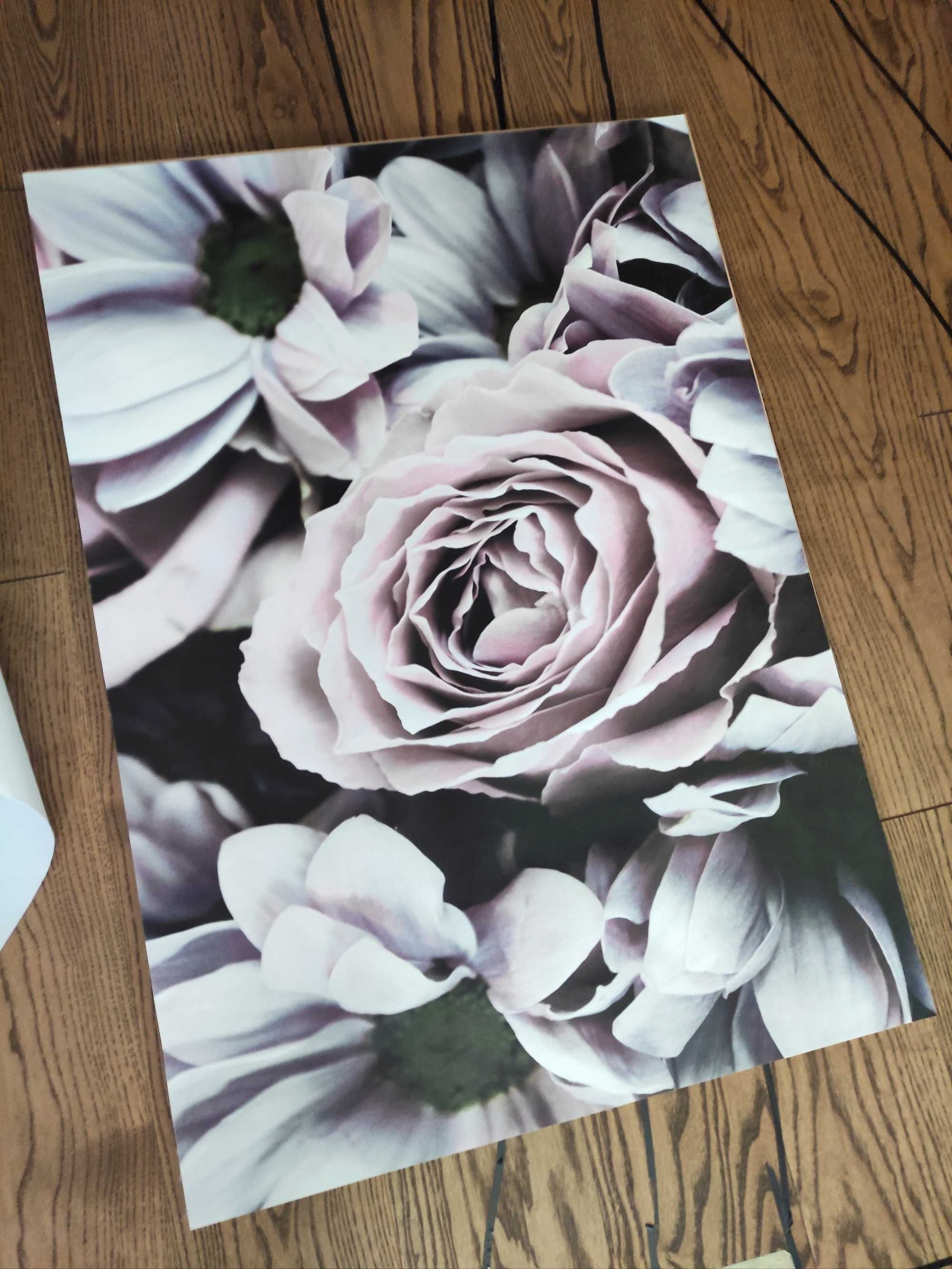 Plakat kwiaty 50x70