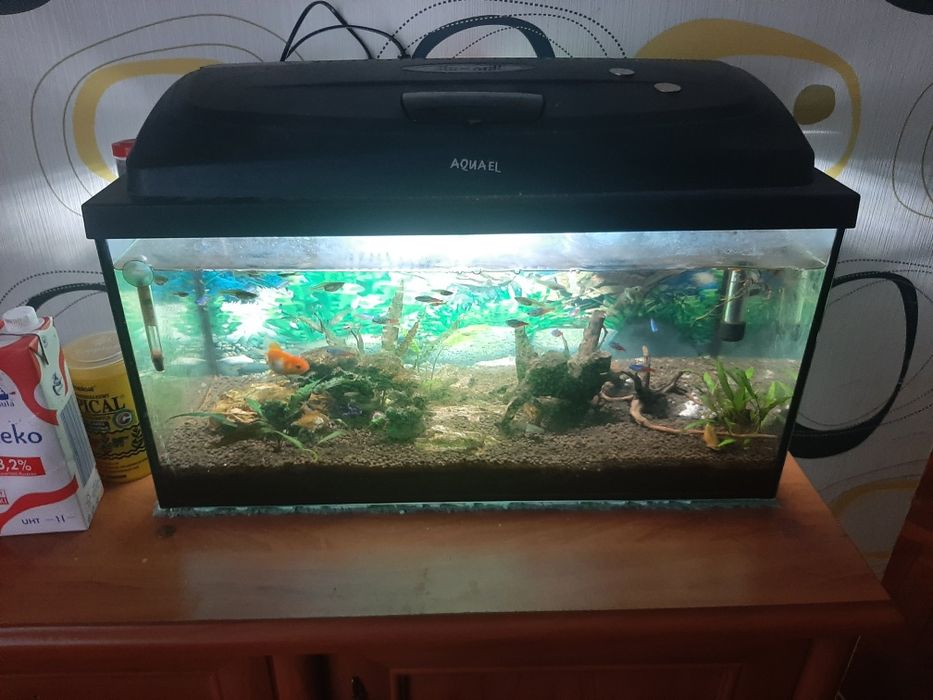 Akwarium 56 litrów