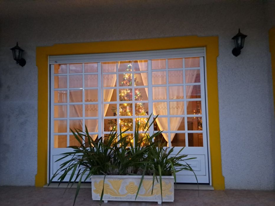 Vendo Pinheiro de Natal