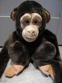 Małpka Hosung 1994 pacynka szympans