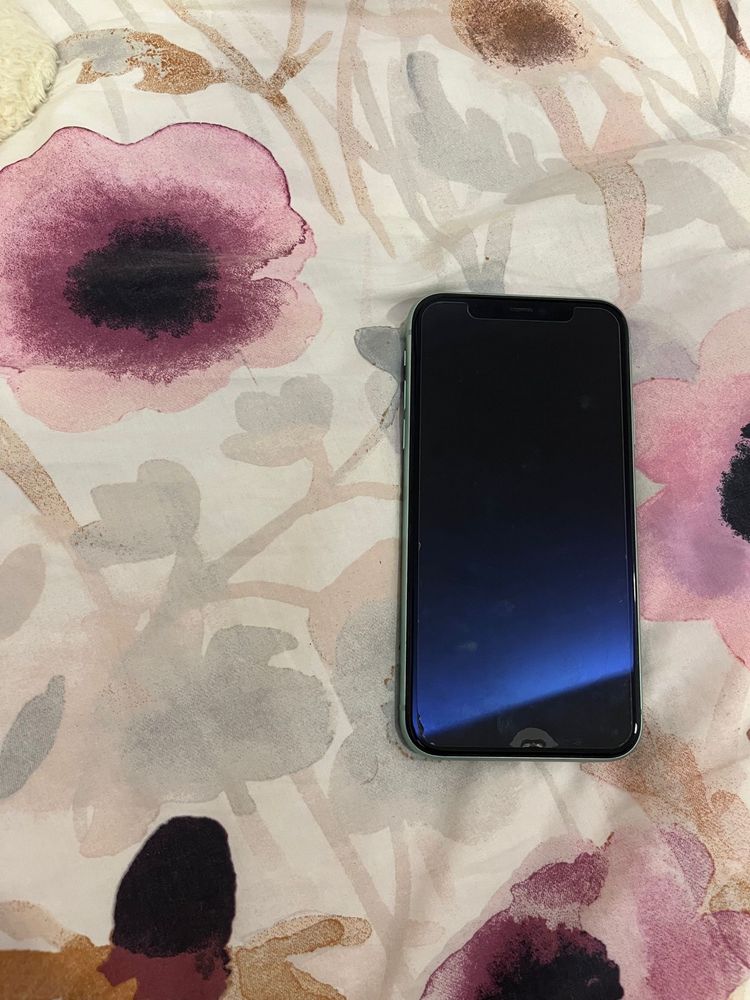 Iphone 11 verde agua em otimo estado