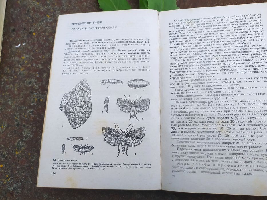 Довідник хвороб і шкідників бджіл