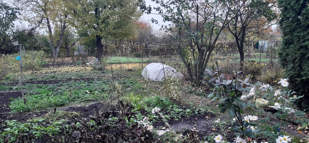 Дача, Хіммістечко