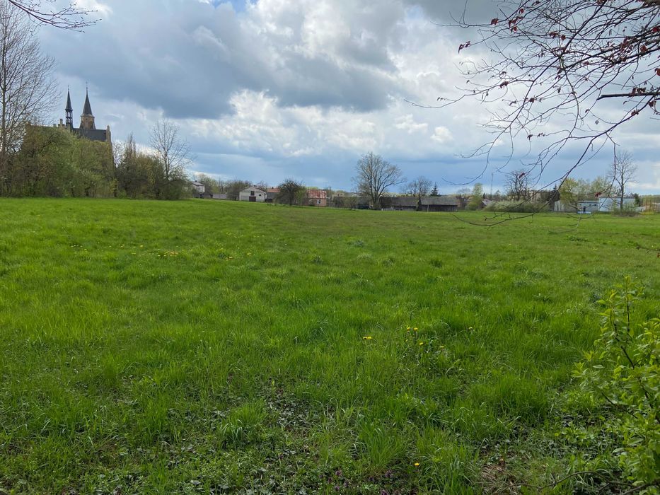 Sprzedam działkę 6.000 m w Kosowie Lackim