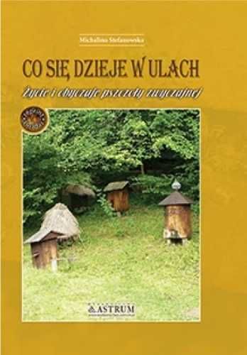 Co się dzieje w ulach - Michalina Stefanowska