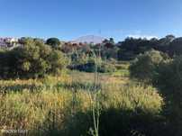 Terreno  para venda