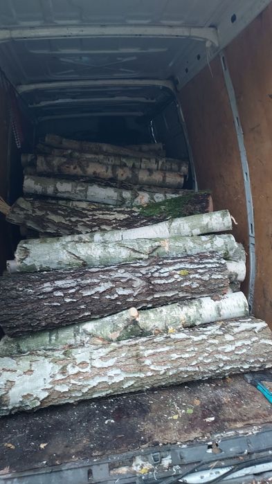 Drewno opałowe Drzewo