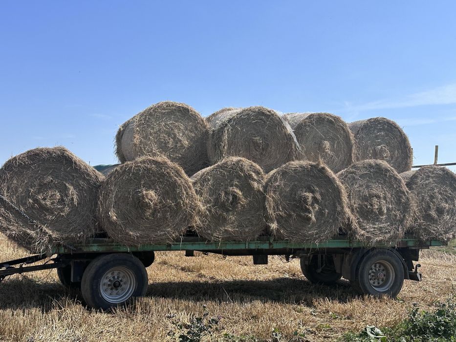 Siano 130x120 po prasie pasowej