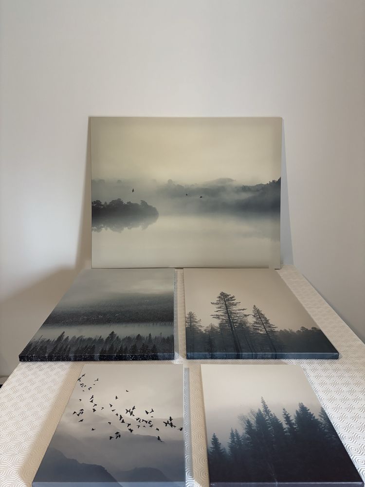 Conjunto de Quadros