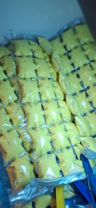 Colostrum siara młodziwo od krowy Jersey